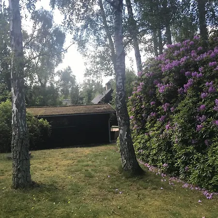 Amazing In Nykobinbg Sjaelland With 3 Bedrooms, Swimming Pool And Wifi Casa vacanze